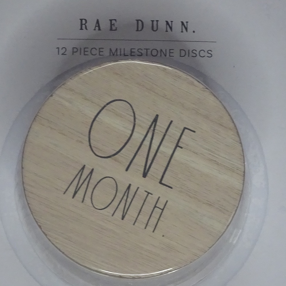 RAE DUNN 12 PIECE MILESTONE DISCS